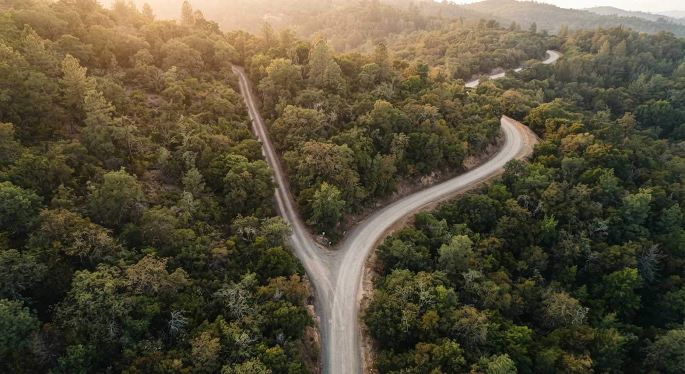 Two diverging paths through a forest representing different debt payoff strategies